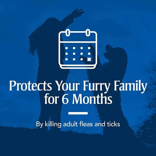 PetArmor® Plus Flea & Tick Collar for Dogs