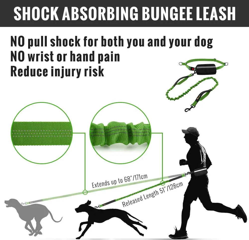 Plutus Pet Hands Free Dog Leash - Soft Padded Dual Handle Retractable Bungee With Reflective Stitches, Adjustable Waist for Walking Running Jogging - Medium Large Dogs