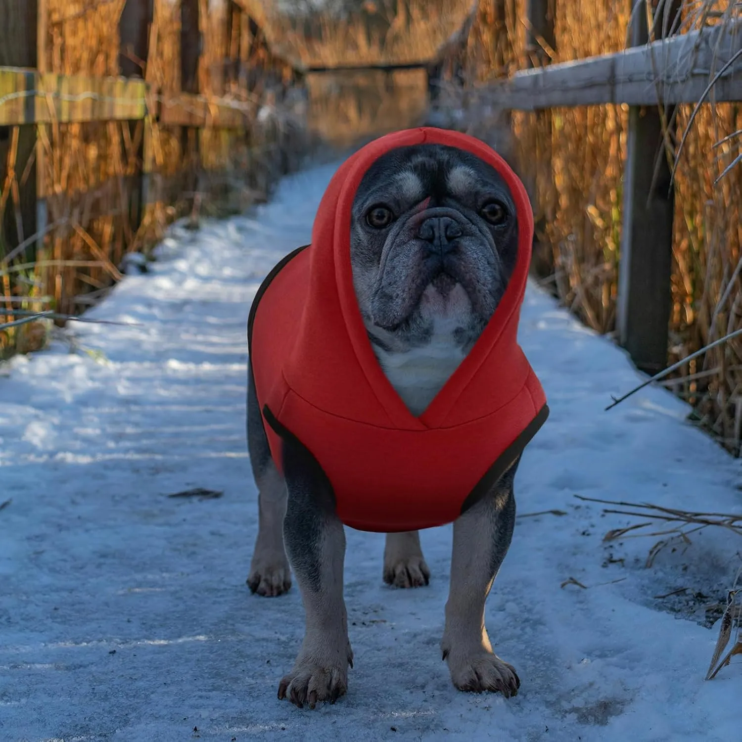 ROZKITCH Dog Hoodie,Winter Dog Fleece Sweaters Pet Warm Sweatshirt Pet Pullover Dog Clothes Soft Warm Christmas Outfit Puppy Vest with Leash Hole for Large Dogs French Bulldog Clothes Red XL