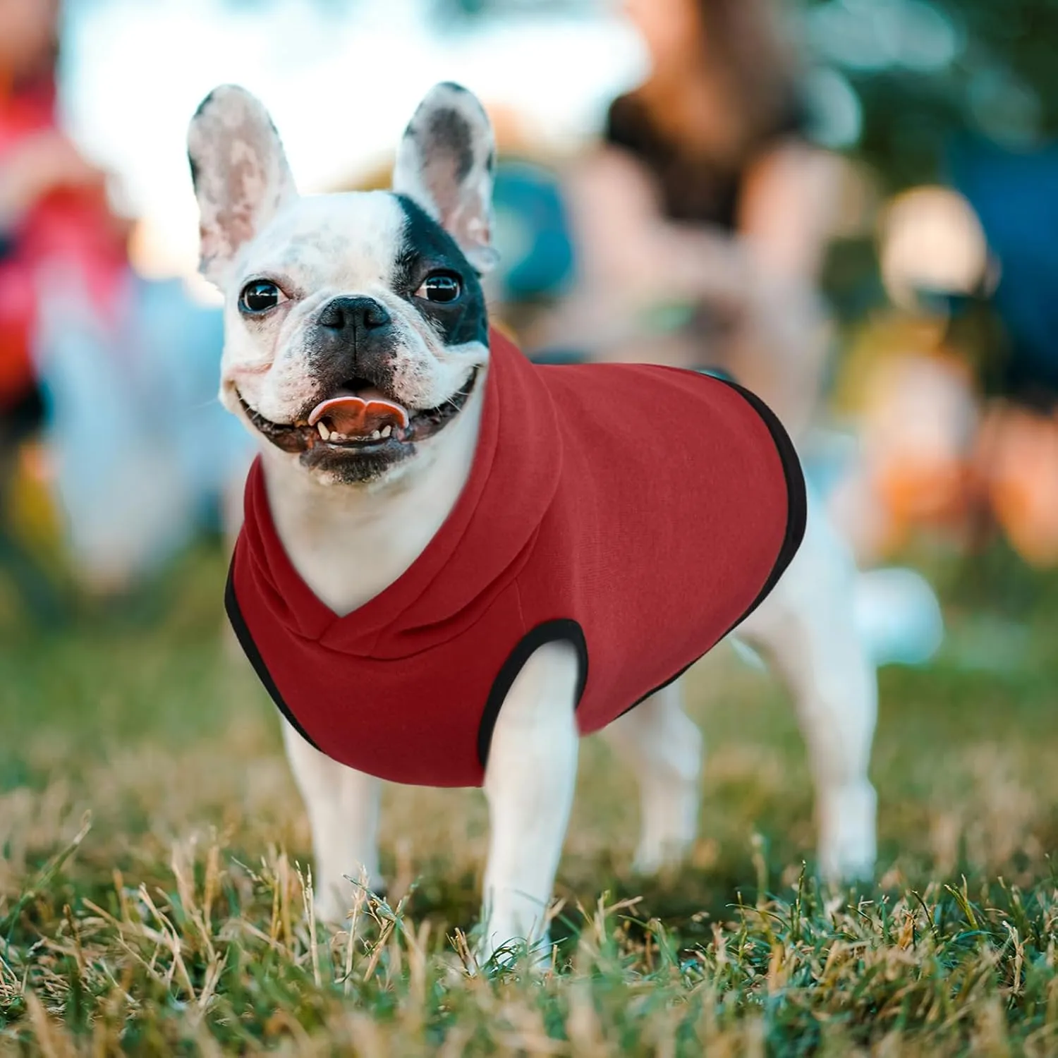 ROZKITCH Dog Hoodie,Winter Dog Fleece Sweaters Pet Warm Sweatshirt Pet Pullover Dog Clothes Soft Warm Christmas Outfit Puppy Vest with Leash Hole for Large Dogs French Bulldog Clothes Red XL