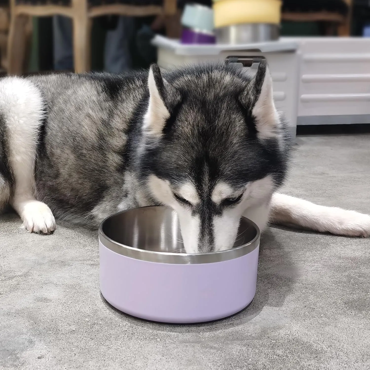 Stainless Steel Dog Bowls, Metal Dog Bowls, Water Bowl for Dogs, Dog Food Bowls, Pet Bowls for Dogs, Dog Dish for Large Dogs, Insulated Dog Bowl, Non Slip Dog Bowl,Easy Clean,64oz,LightPurple
