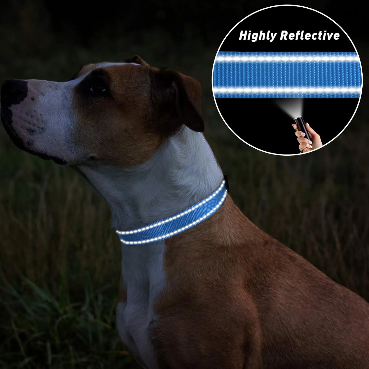 TagME Samll Dog Collars, Adjustable Reflective Nylon Pet Collar with Quick Release Buckle for Small Dogs, Sky Blue, 3/4" Width