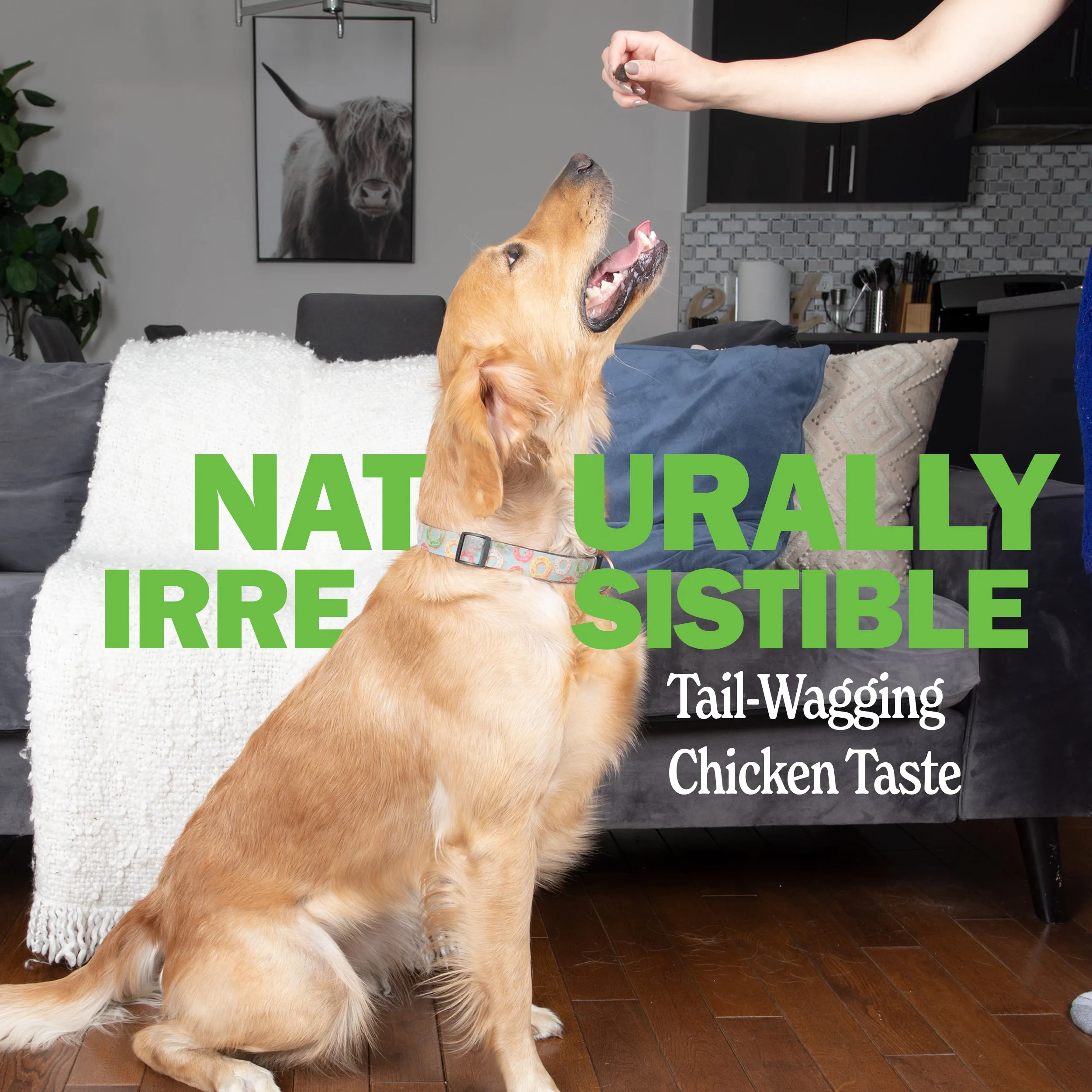 Urinary Tract Supplement for Dogs