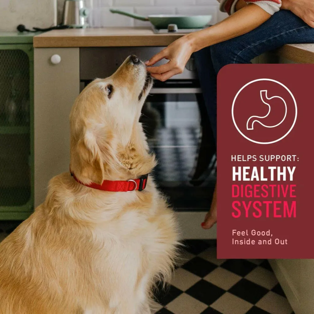 VetIQ Multivitamin Soft Chew Supplement for Dogs (60 soft chews)