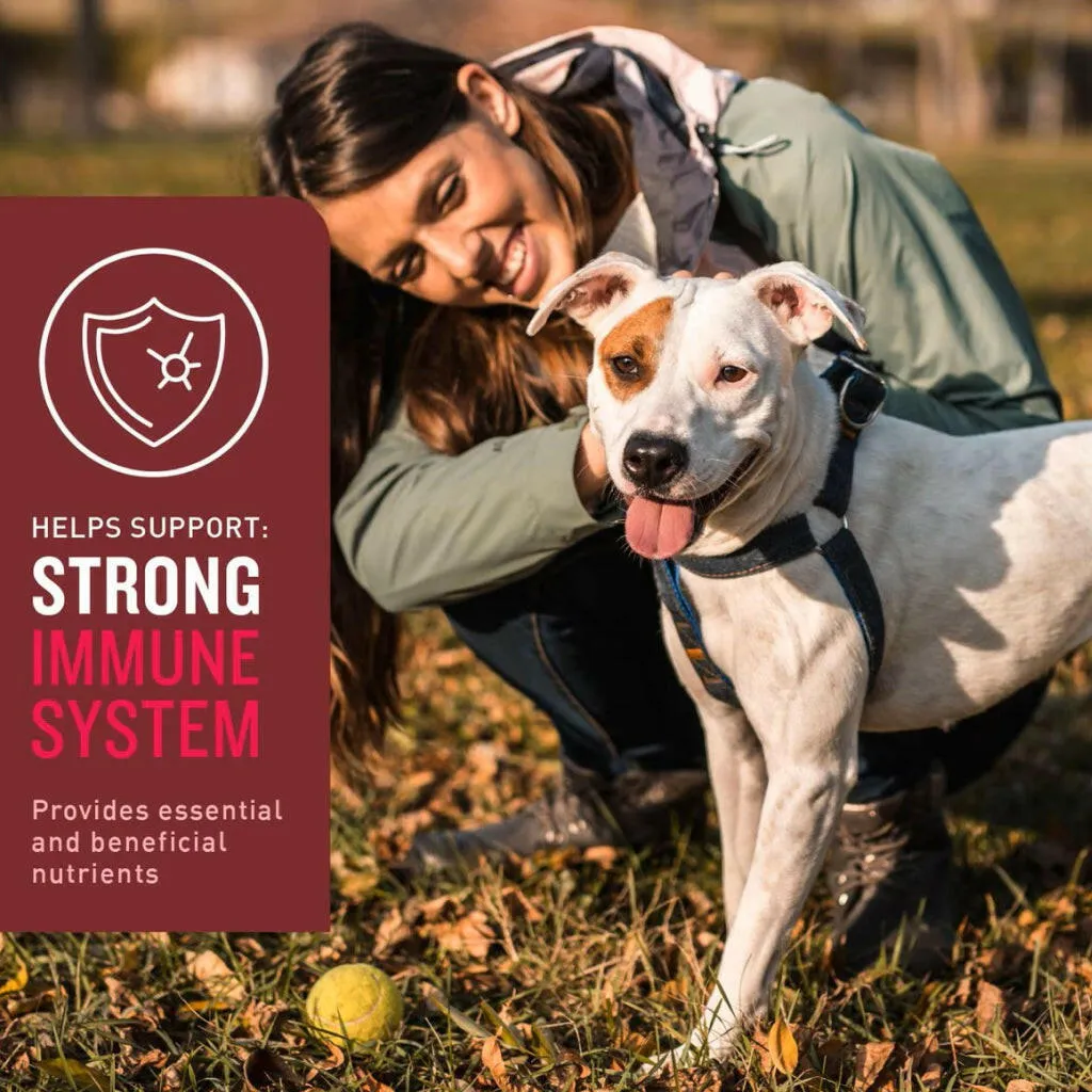 VetIQ Multivitamin Soft Chew Supplement for Dogs (60 soft chews)