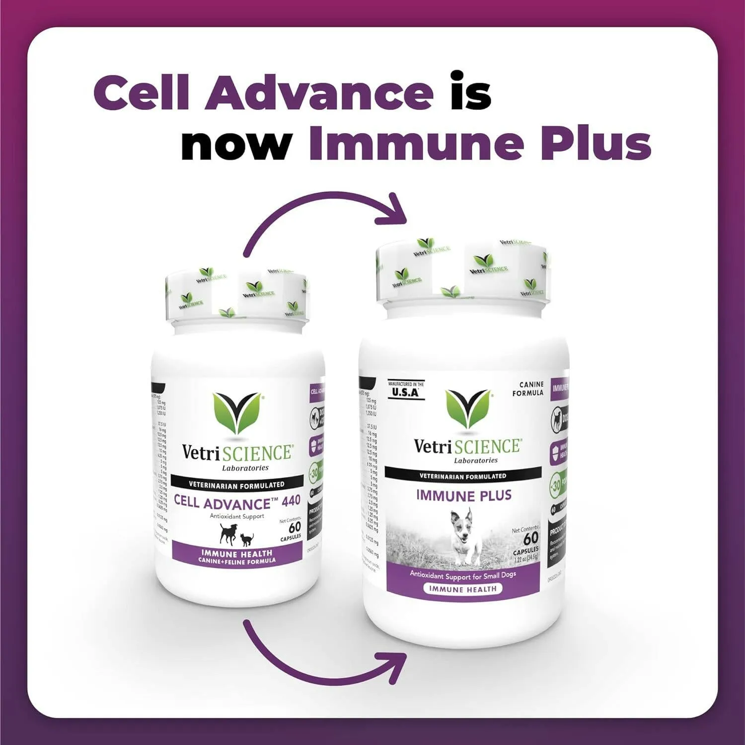 VetriScience Immune Plus for Dogs
