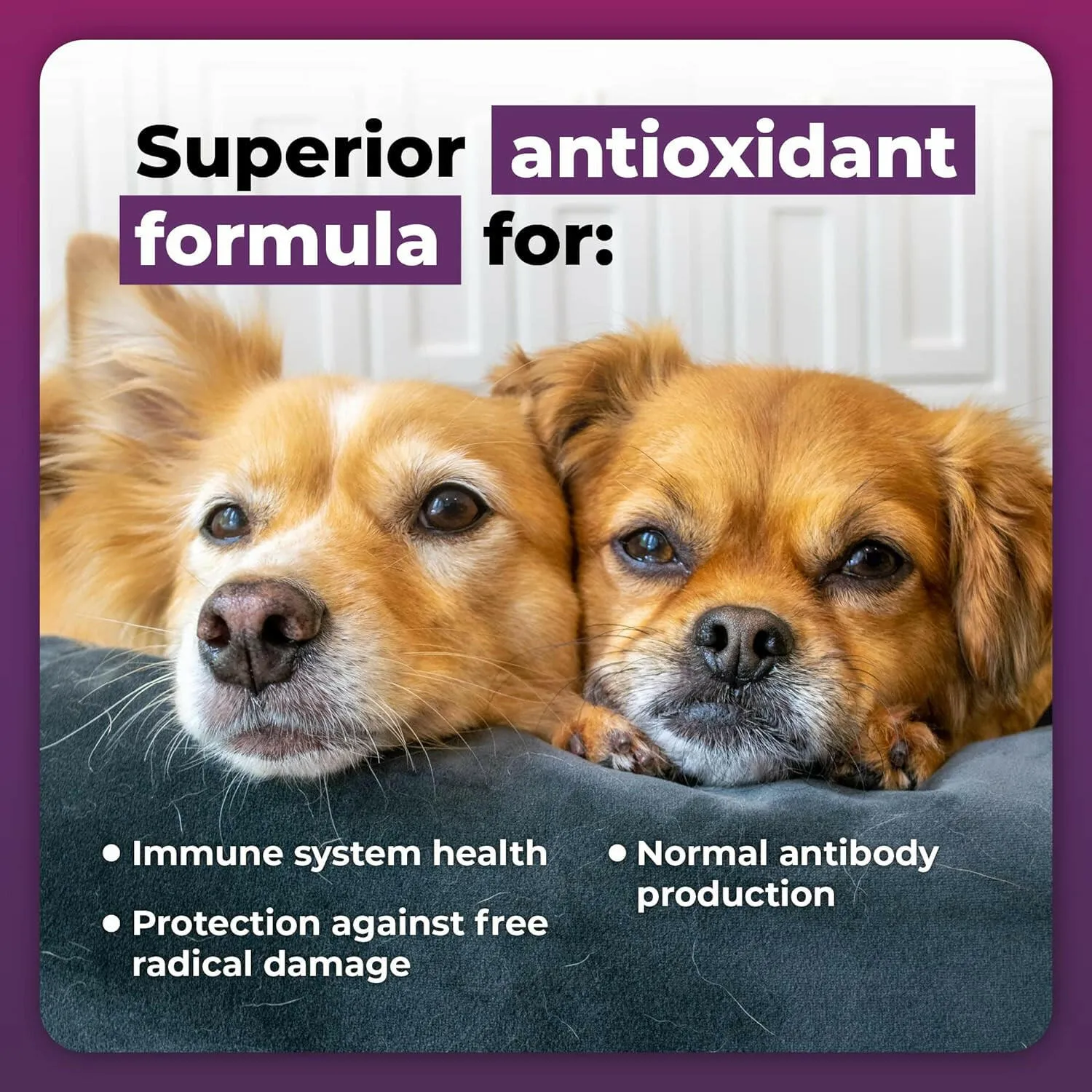 VetriScience Immune Plus for Dogs