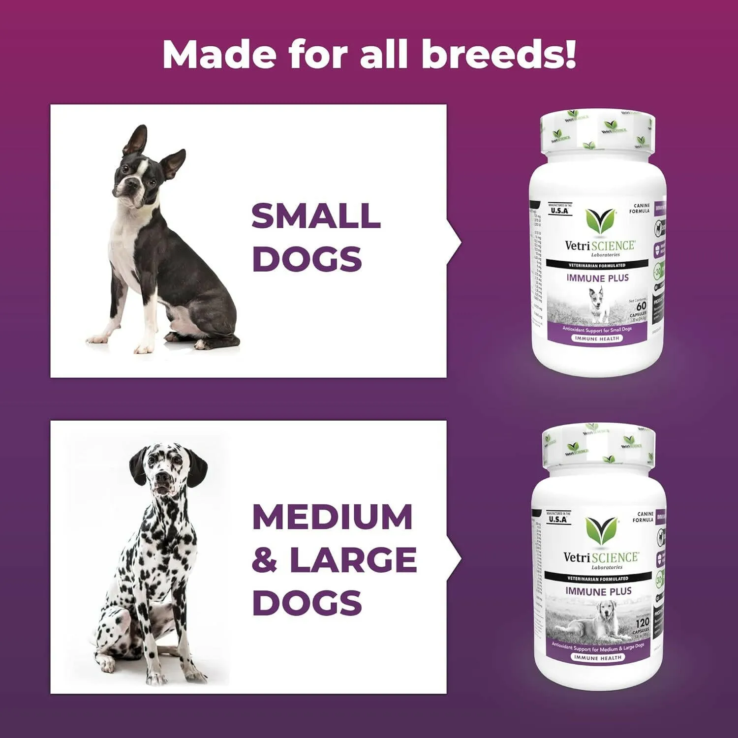 VetriScience Immune Plus for Dogs